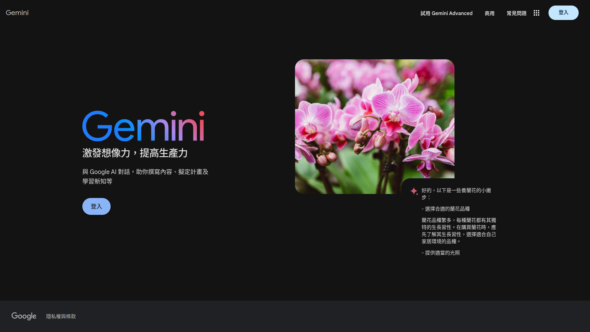 Google Gemini
